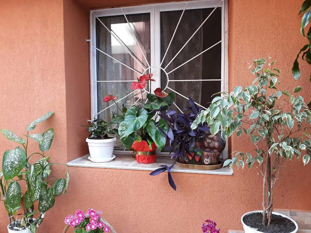 Guest House Yanina Sozopol